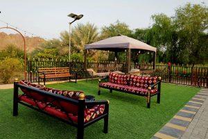Private pool in Dubai farmhouse with BBQ area