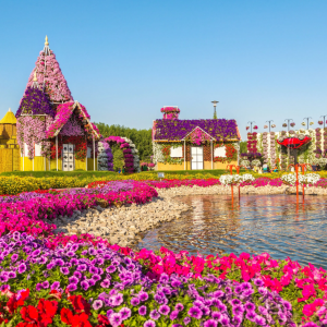 Miracle Garden Dubai Tickets – Explore the World’s Largest Natural Flower Garden | Wenjoy.ae
