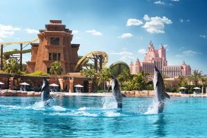 Dolphin Bay Dubai swimming with dolphins - wenjoy.ae